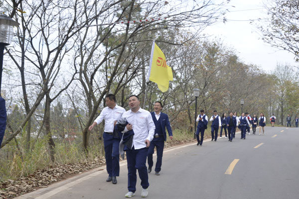 陽光行、快樂游
